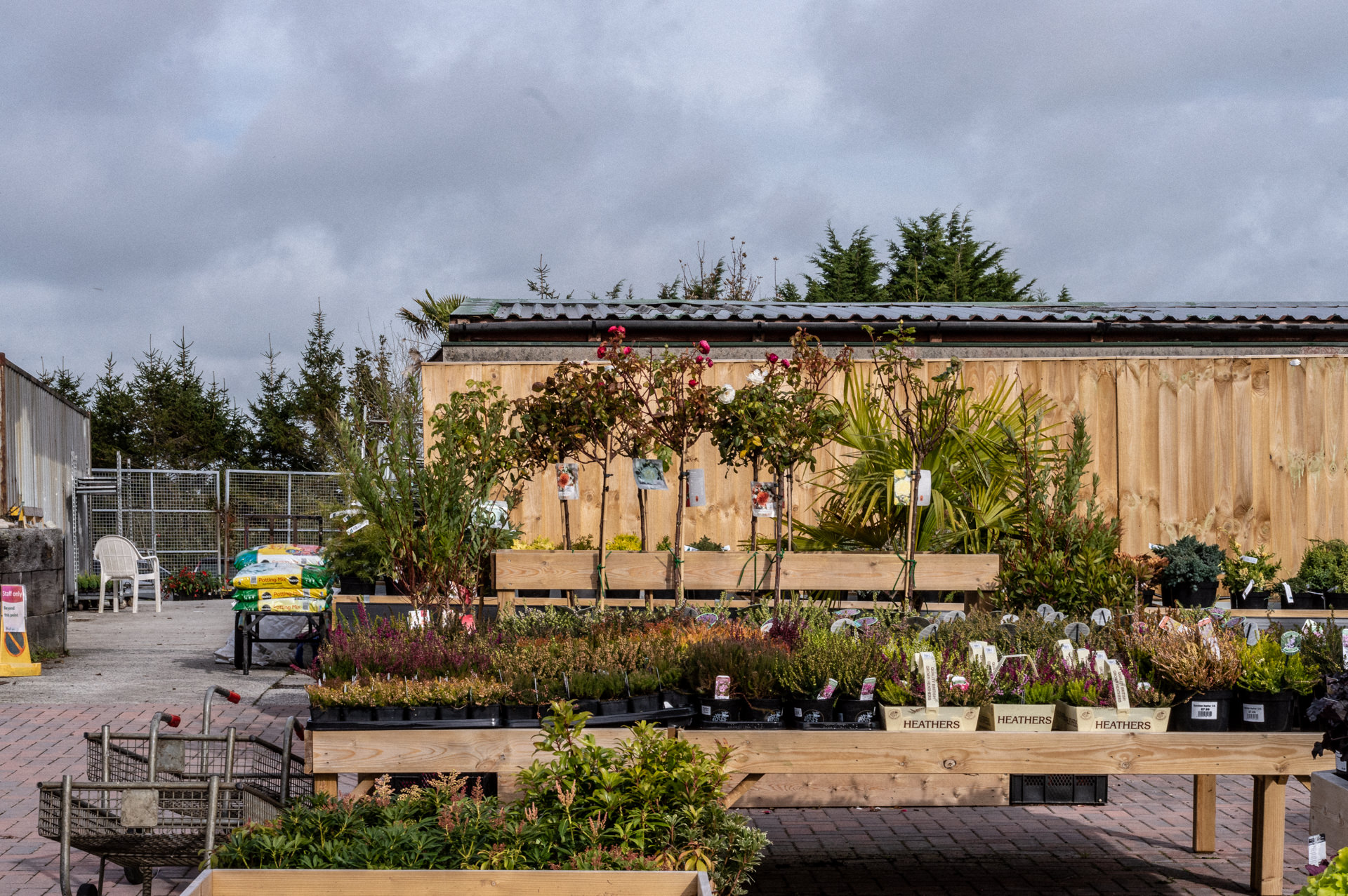 to Homeleigh Launceston • Homeleigh Garden Centres