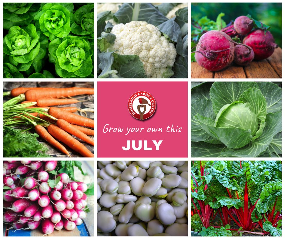 Grow your own this July