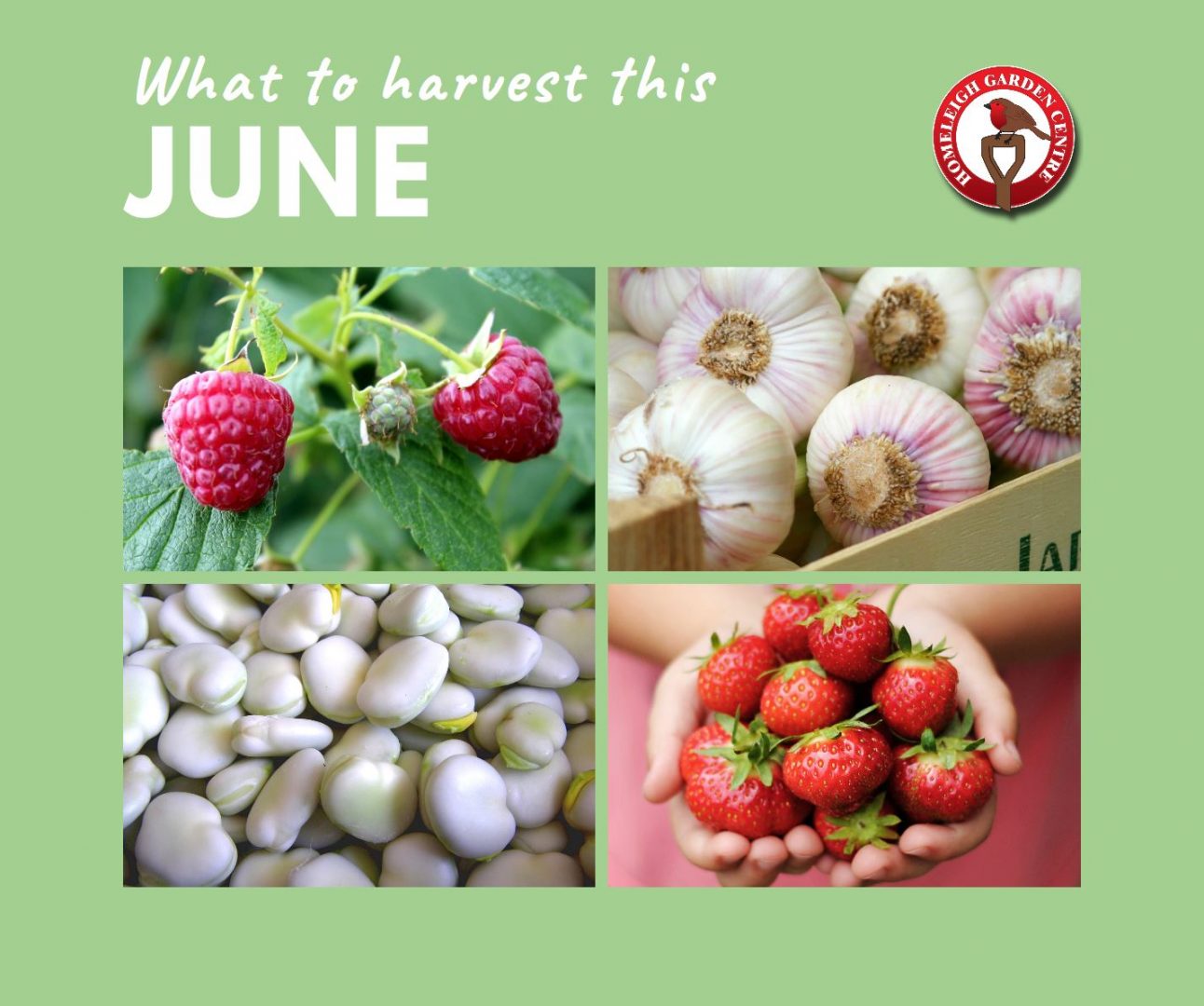 Harvest this June