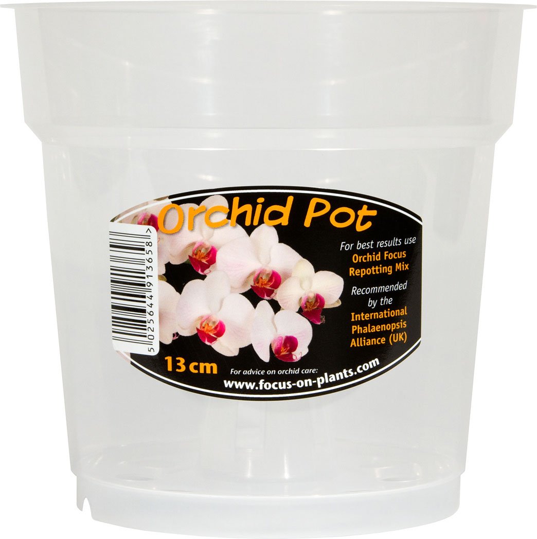 Growth Technology Clear Orchid Pot 13 cm • Homeleigh Garden Centres