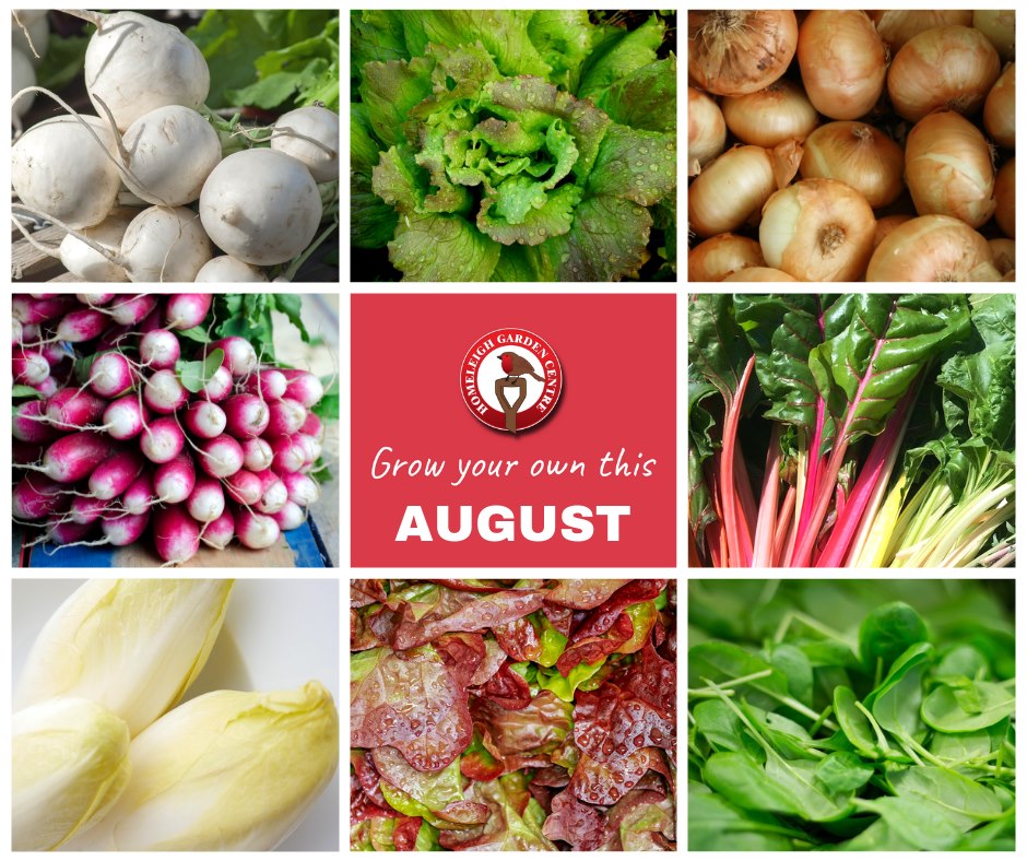 Grow Your Own This August