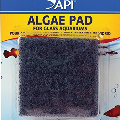Api Algae Pads For Glass 