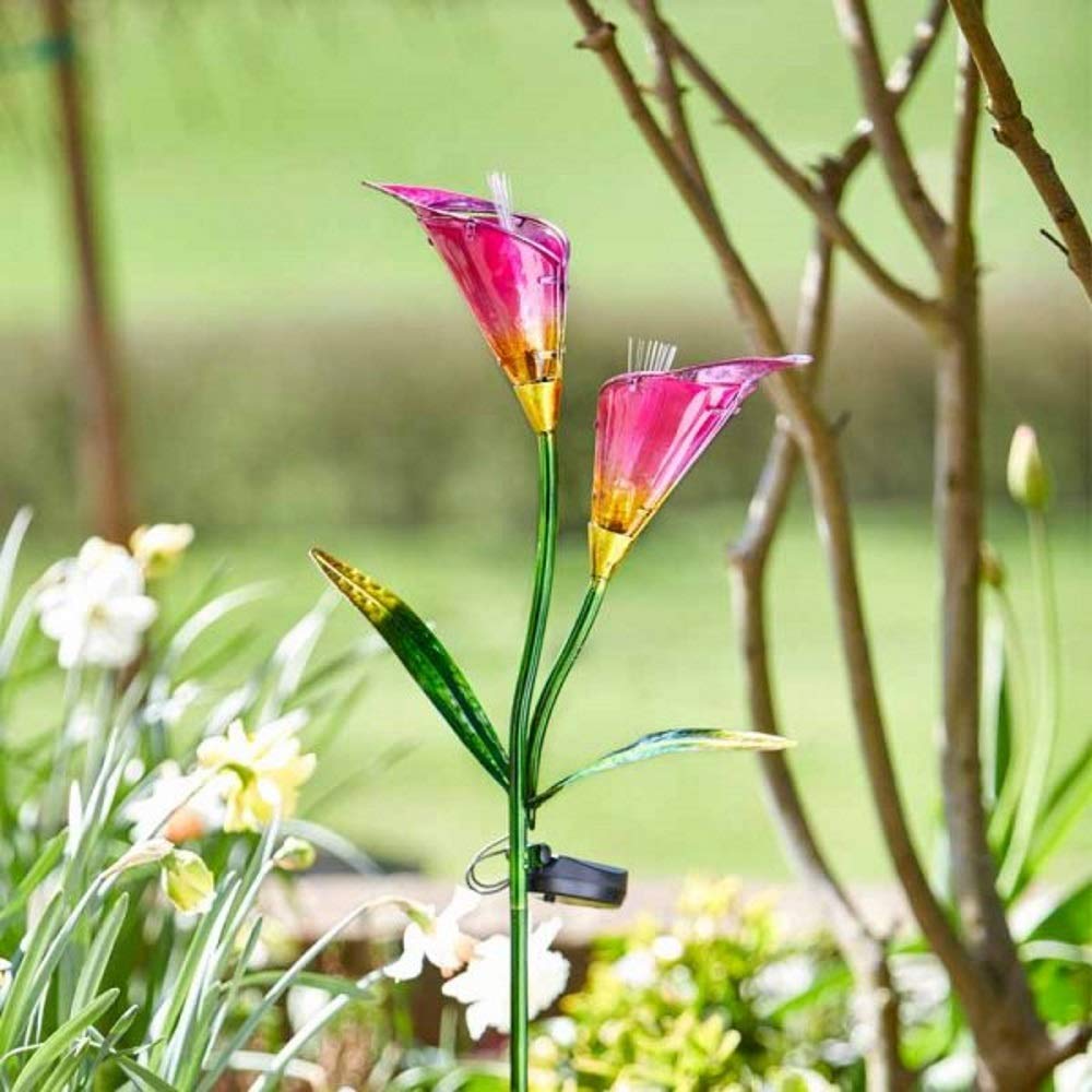 Smart Garden Lily