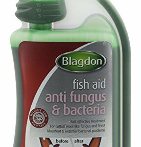 BlagdonTreatAntiFungus&Bacteriaml