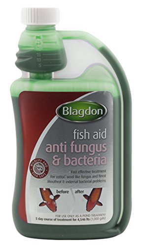 BlagdonTreatAntiFungus&Bacteriaml