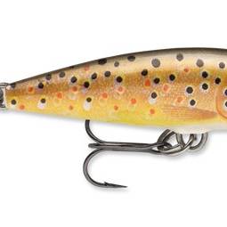 CDTR BrownTrout