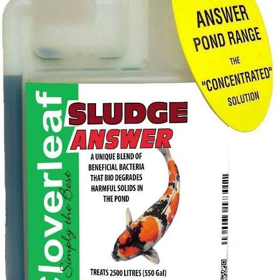 Cloverleaf Sludge Answer 250ml