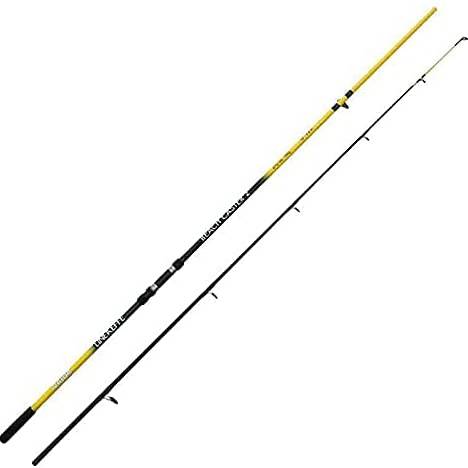 2 PCE Beach Rod With Ocean Master Reel Combo