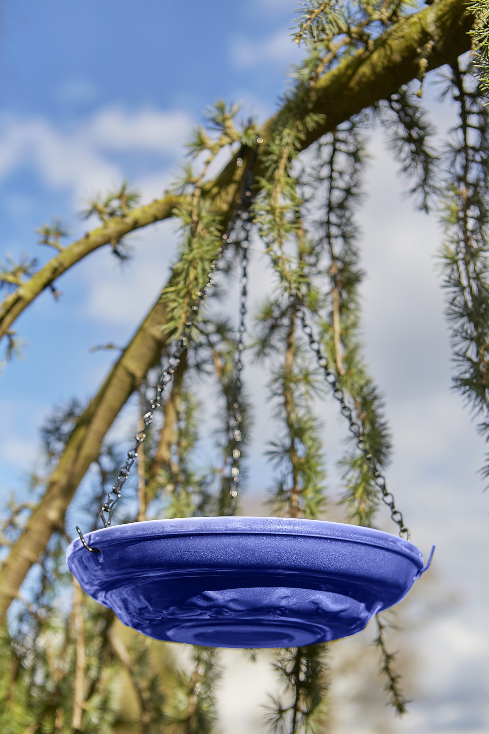 Tom chambers Cobalt Hanging Bird Bath Glazed • Homeleigh Garden Centres