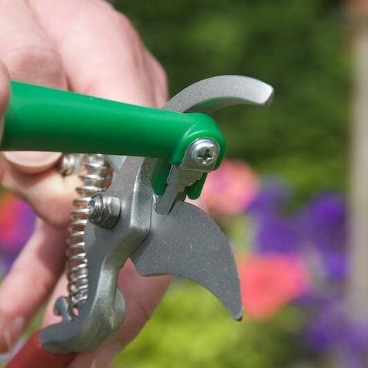 Creative Products Tool Sharp