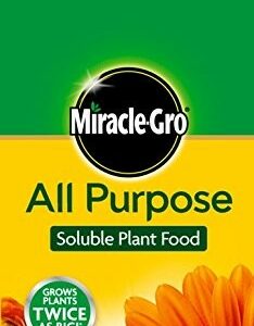 Miracle Gro All Purpose Plant Food - 1kg + 20% Extra Free