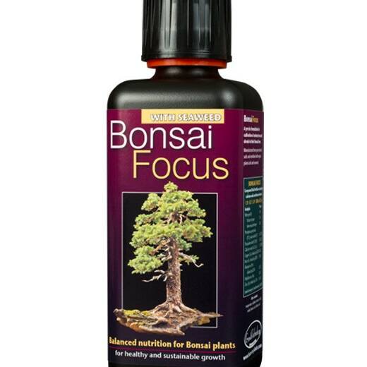 Growth Technology Bonsai Focus - 100ml 