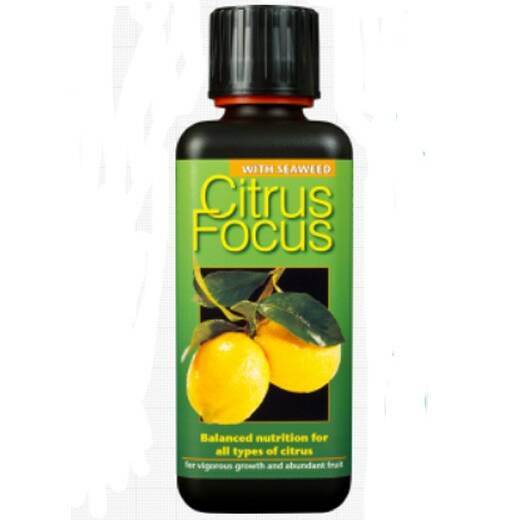 Growth Technology Citrus Focus - 100ml