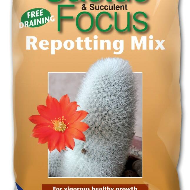 Growth Technology Cactus & Succulent Focus Repotting Mix Bag - 2 Litres