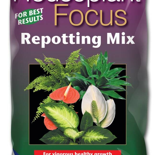 Growth Technology Houseplant Focus Repotting Mix Bag - 2 Litres