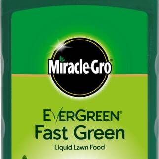 Miracle-Gro Evergreen Fast Green Liquid Lawn Feed - 1L Concentrate