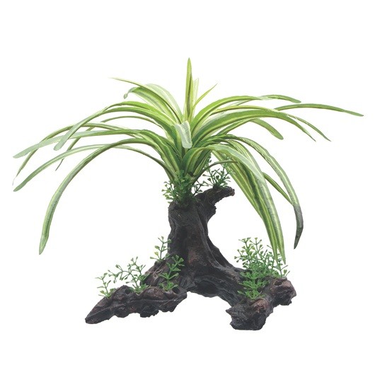 Fluval Fountain Plant 25cm On Root