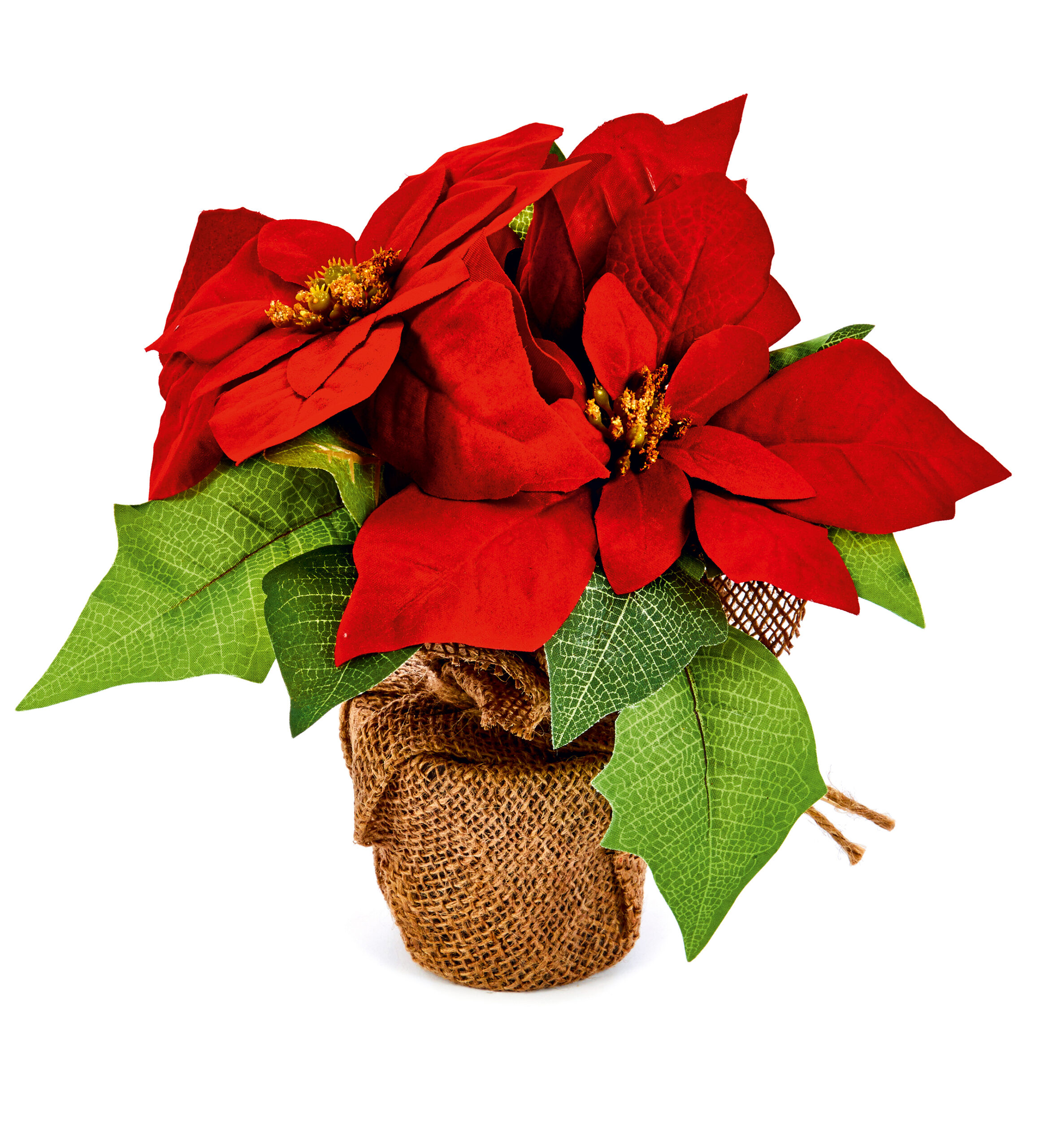 PREMIER 24CM ARTIFICIAL POINSETTIA IN HESSIAN POT • Homeleigh Garden