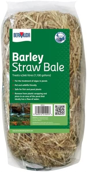 Bermuda Barley Straw Mini Bale