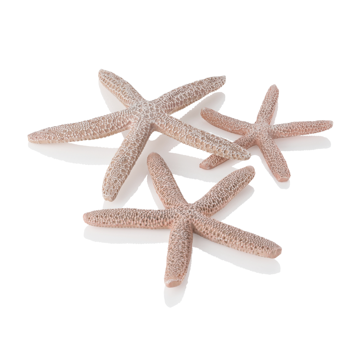 Oase BiOrb Starfish set 3 - Natural