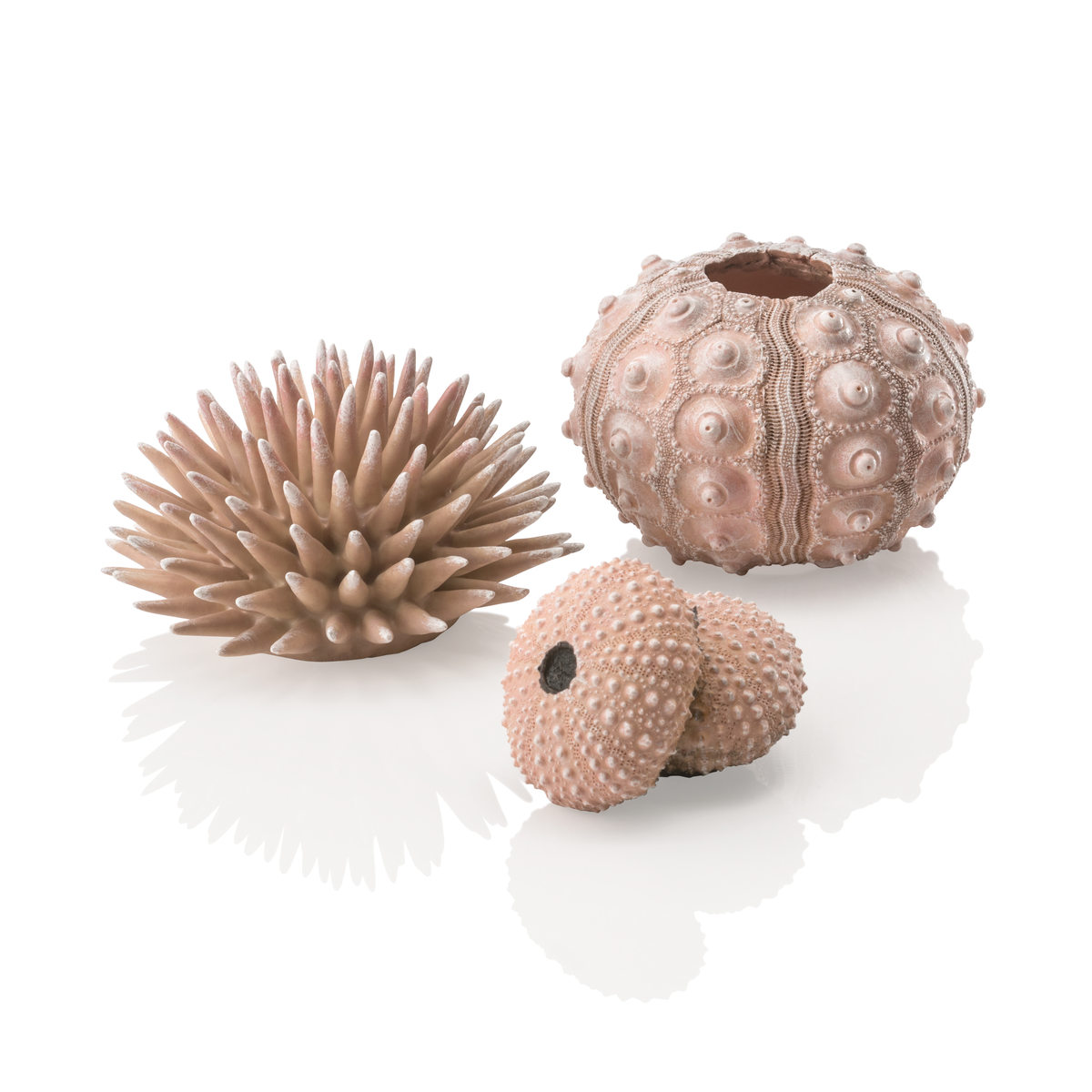 Oase BiOrb Sea Urchins set of 3 - Natural