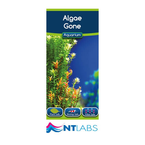 Nt Labs Aquarium 4 Algae Gone - 100ml