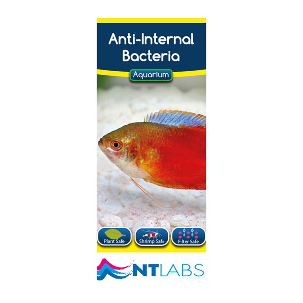 Nt Labs Aquarium 10 Anti-Internal Bacteria - 100ml