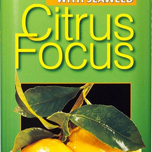 Growth Technology Citrus Focus 300 ml