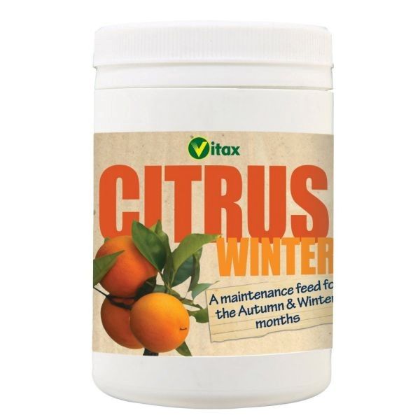 Vitax Citrus Feed - Winter - 200g