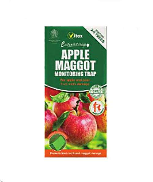 Vitax Apple Maggot Trap