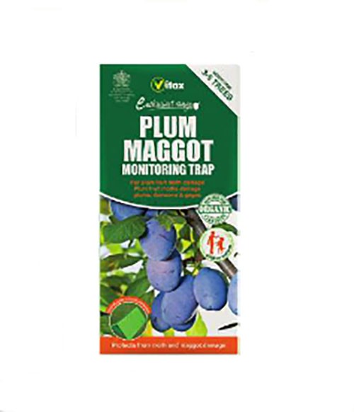 Vitax Plum Maggot Trap