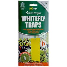 Vitax Whitefly Traps 7 Traps 