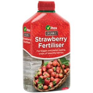 Vitax Liquid Strawberry Food - 1L