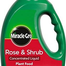 Miracle Gro Rose & Shrub Plant Food 1L