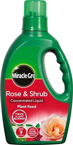 Miracle Gro Rose & Shrub Plant Food 1L