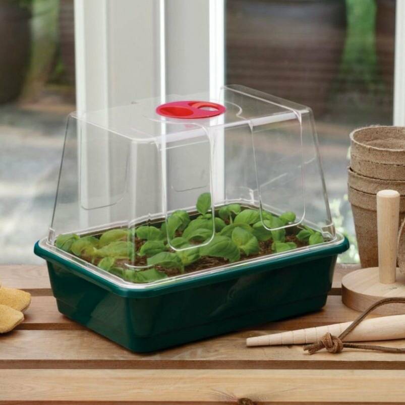 Small High Dome Propagator
