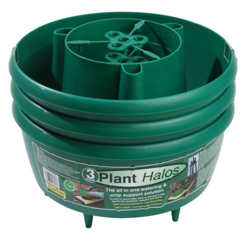Garland Plant Halos (Set of 3) - Green