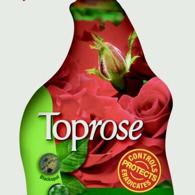 Top Rose Fungus Control And Protect - 1L