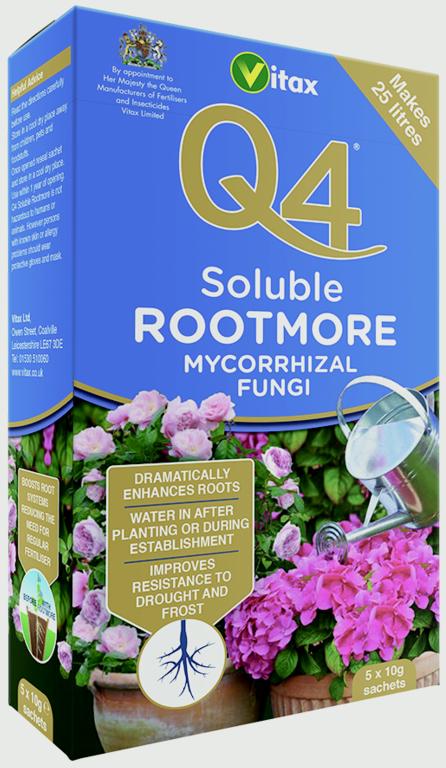 Q4 Soluble Rootmore 5 x 10g Sachets