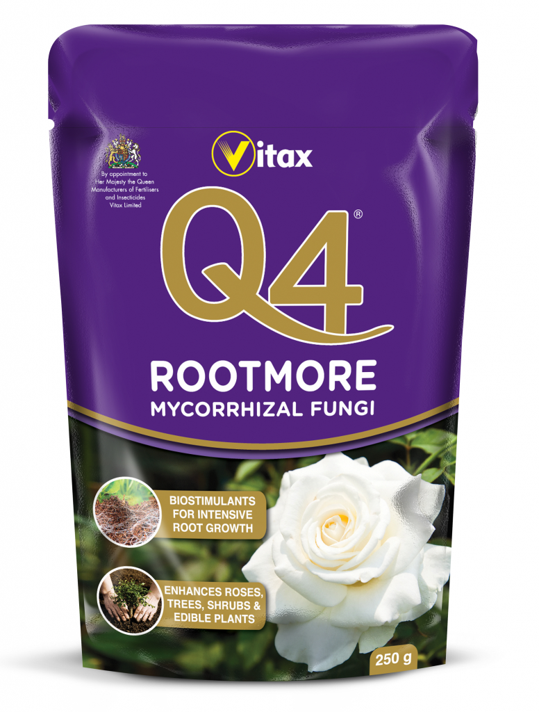 Vitax Q4 Rootmore 60g Sachet