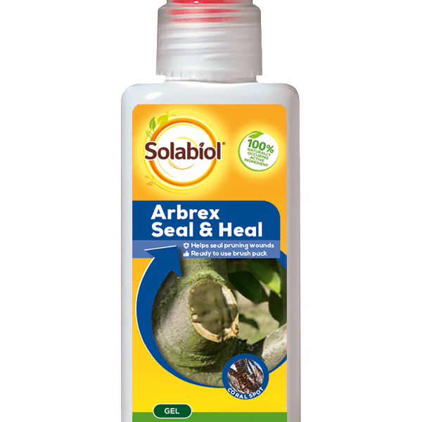 Solabiol Arbrex Seal & Heal - 300g