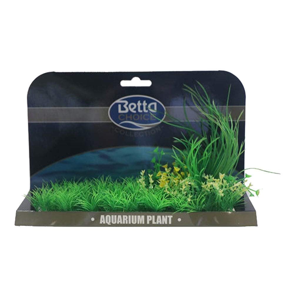 Betta Choice XL Plant Mat - Green Lilaeopsis