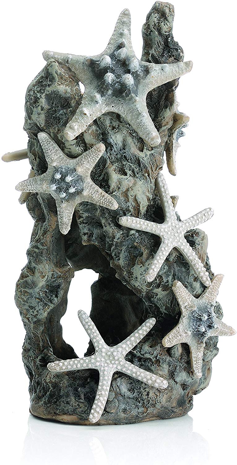 Oase biOrb Sea Star Rock Ornament  - Medium (46132)