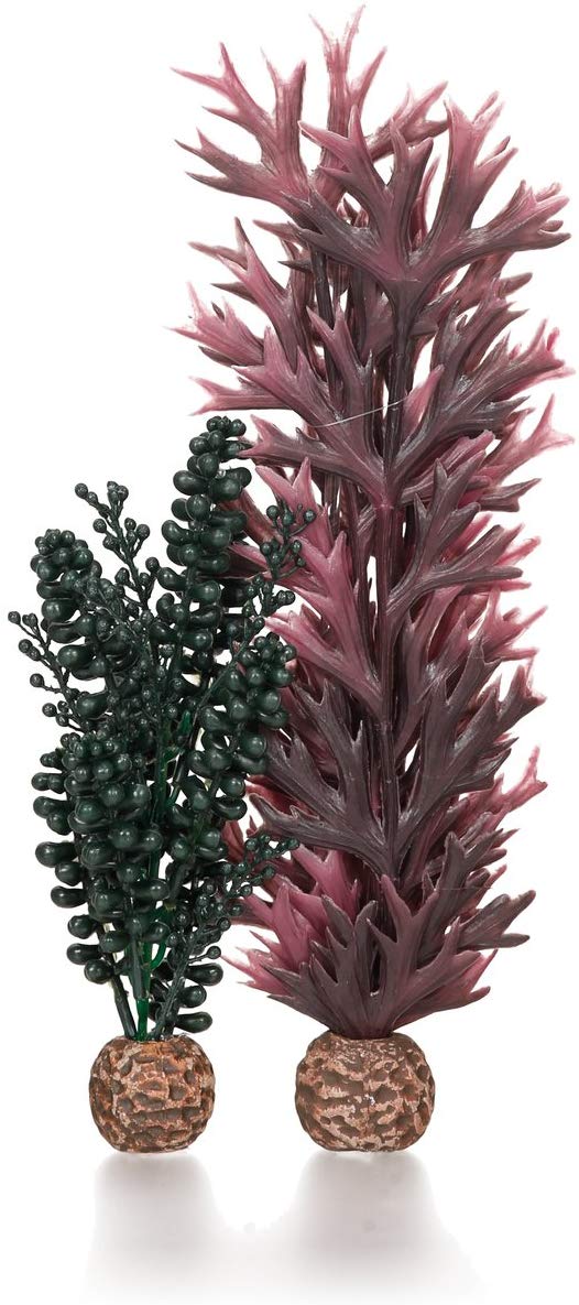 Oase biOrb Seapearls & Kelp Dark Green (55074)