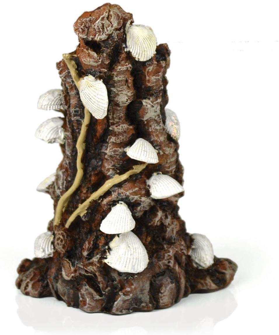 Oase biOrb Shells On Bark Ornament White 715 (46146)