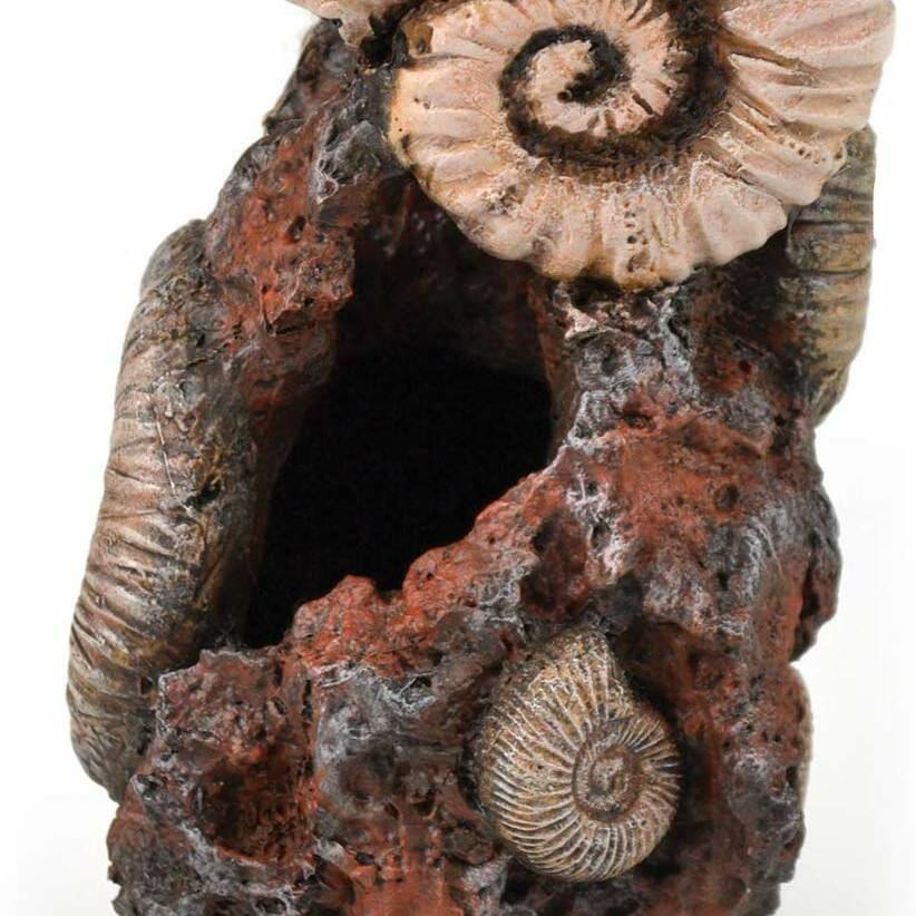 Oase biOrb Ornament Ancient Conch Medium (46141)