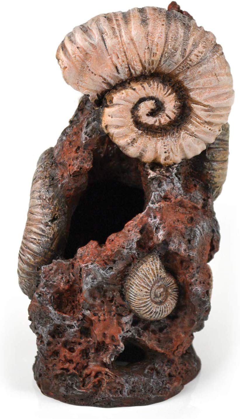 Oase biOrb Ornament Ancient Conch Medium (46141)