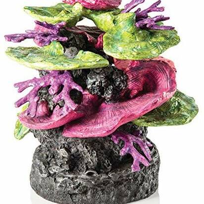 Oase biOrb Coral Ridge Ornament Green Purple (48361)