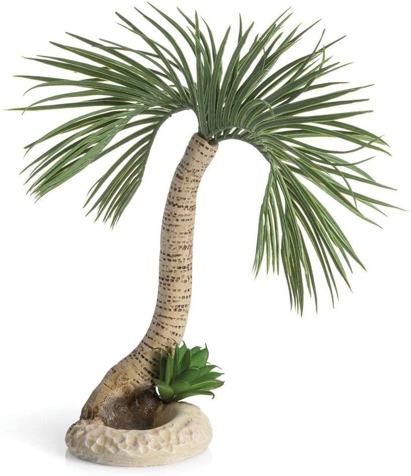Oase biOrb Palm Tree Seychelles Large  (72680)
