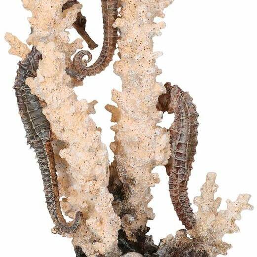 Oase biOrb Seahorses On Coral Natural Large  (55039)